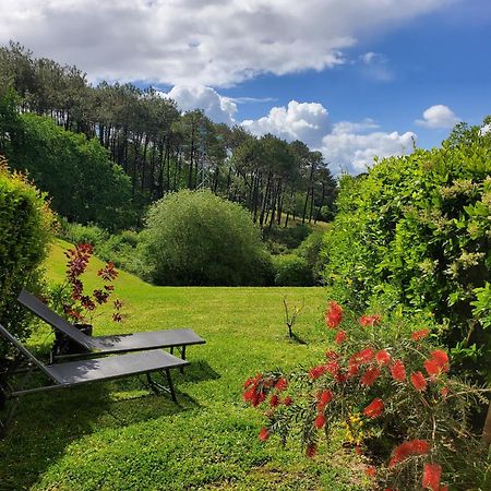 Appartement Calme Avec Jardin Bidart Biarritz Экстерьер фото