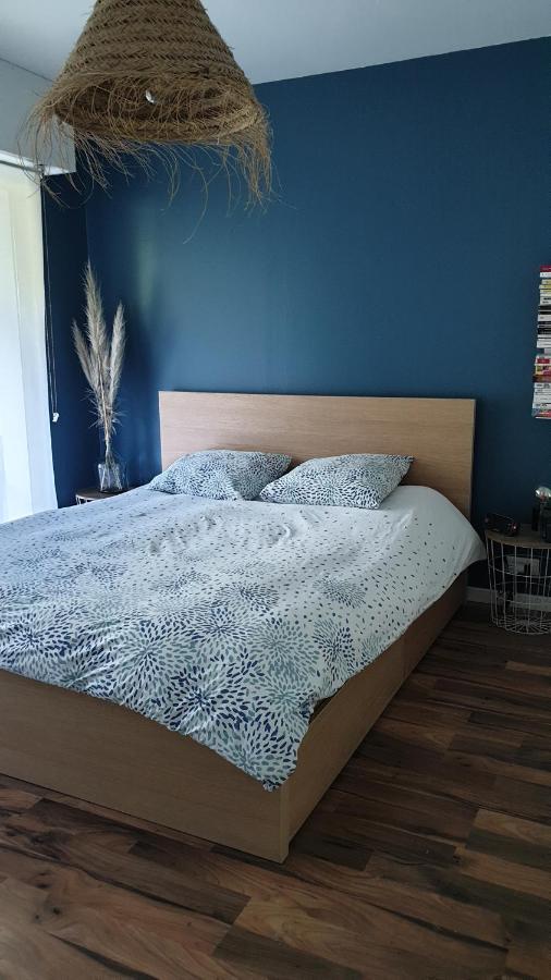 Appartement Calme Avec Jardin Bidart Biarritz Экстерьер фото