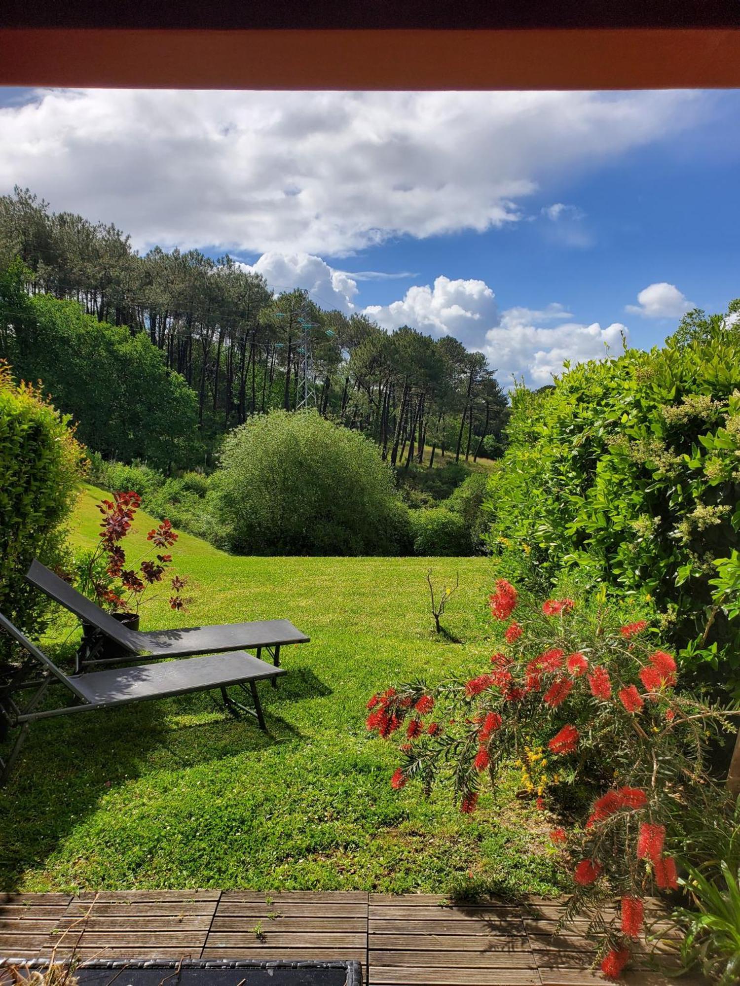Appartement Calme Avec Jardin Bidart Biarritz Экстерьер фото